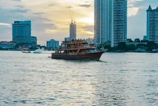 Night Cruises Tours